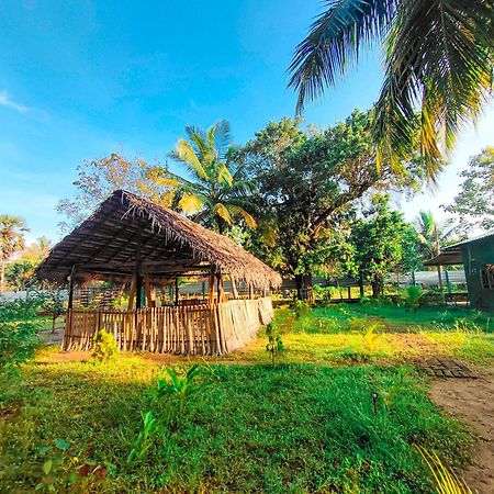 Achchamulai Wilpattu Green Cabin מראה חיצוני תמונה