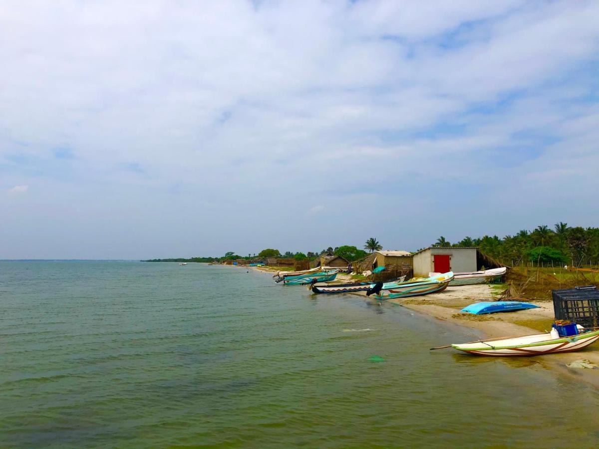 Achchamulai Wilpattu Green Cabin מראה חיצוני תמונה