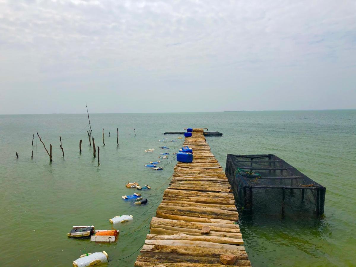 Achchamulai Wilpattu Green Cabin מראה חיצוני תמונה