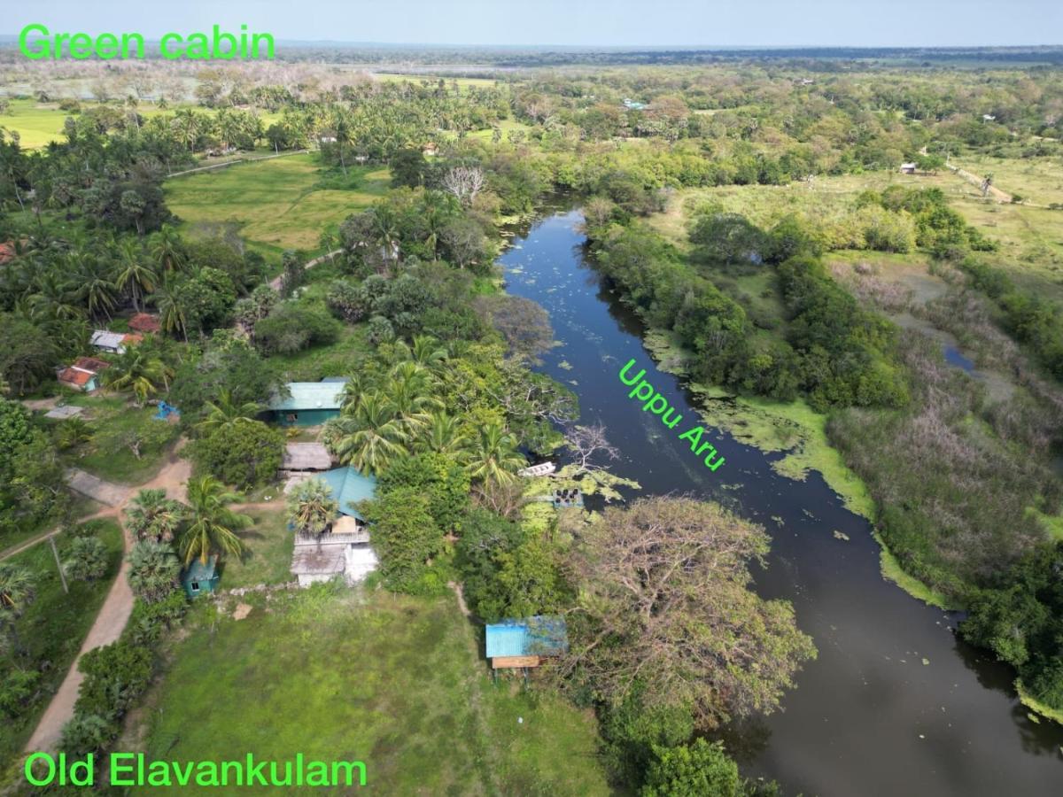 Achchamulai Wilpattu Green Cabin מראה חיצוני תמונה