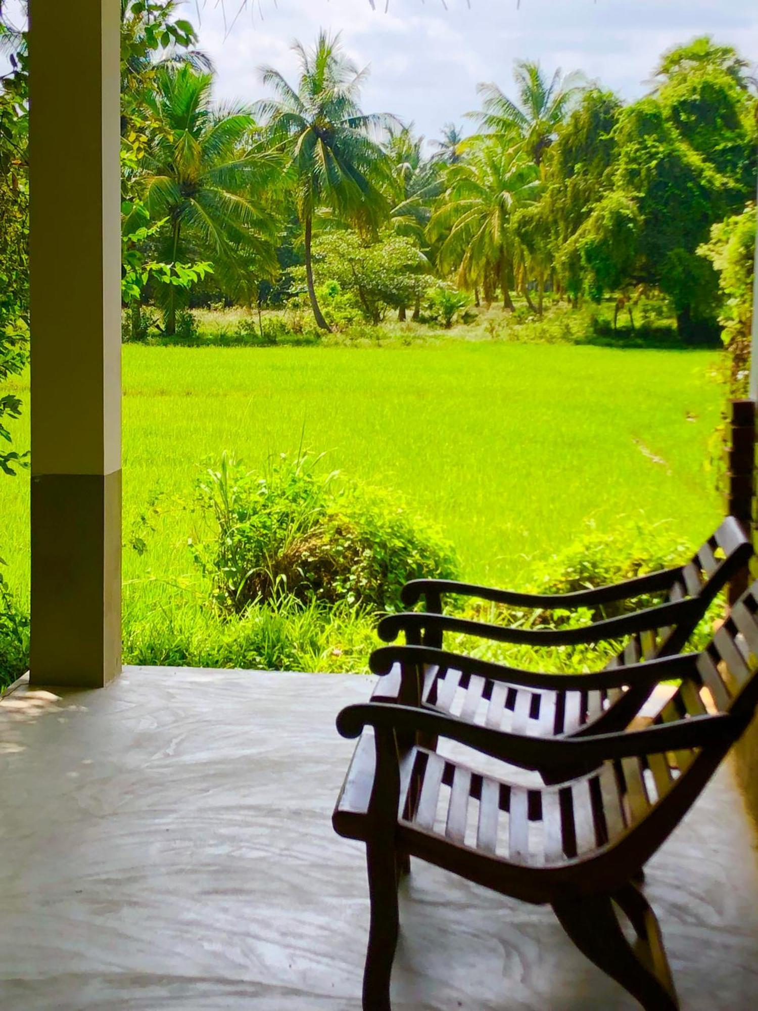 Achchamulai Wilpattu Green Cabin מראה חיצוני תמונה