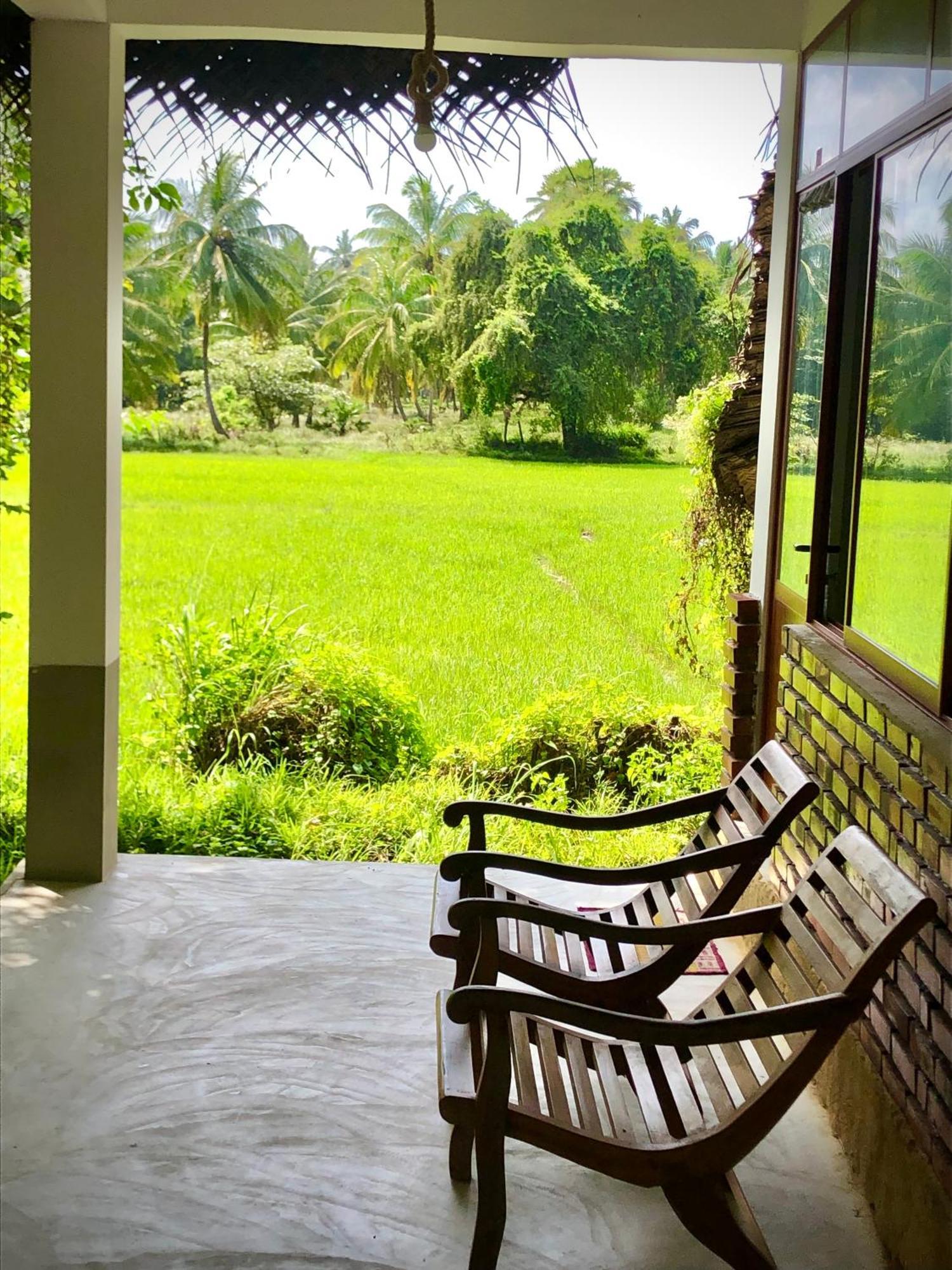 Achchamulai Wilpattu Green Cabin מראה חיצוני תמונה