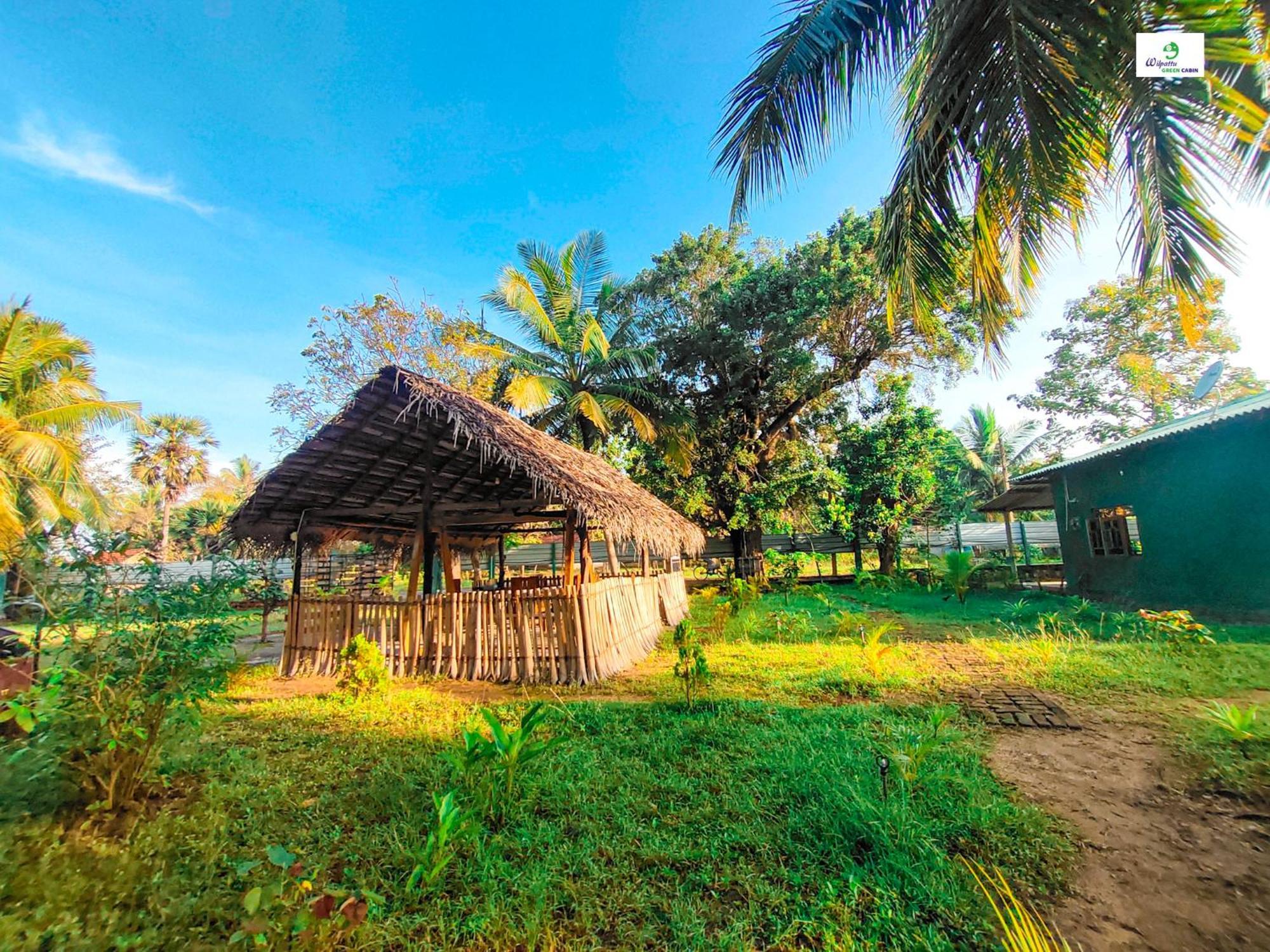 Achchamulai Wilpattu Green Cabin מראה חיצוני תמונה